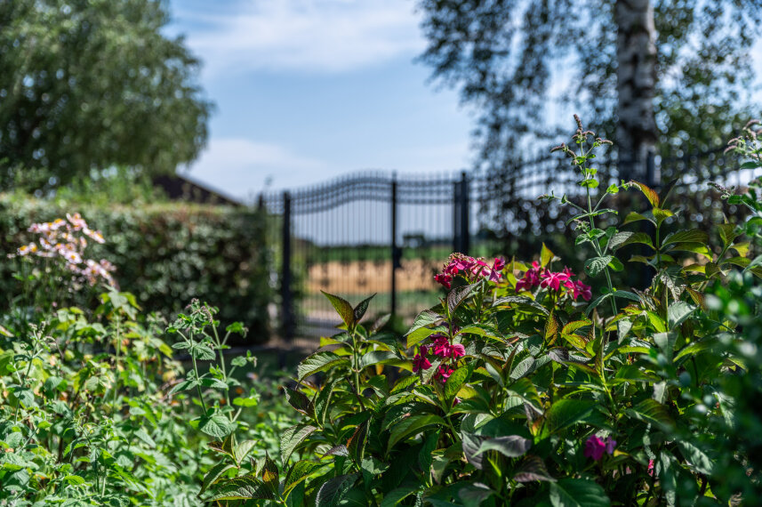 Gartenimpressionen