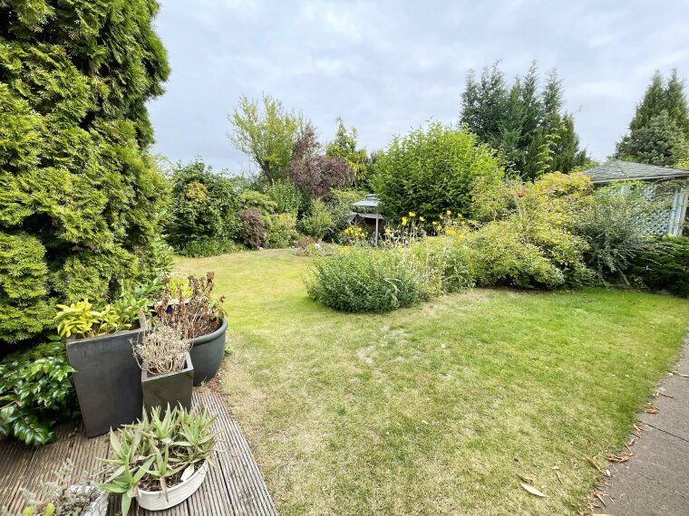 Blick in den Garten