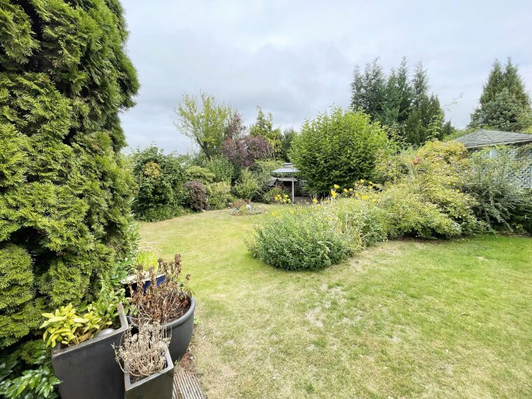 Blick in den Garten