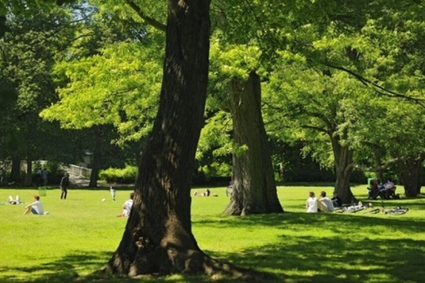 3 min bis zum Inselwall Park 