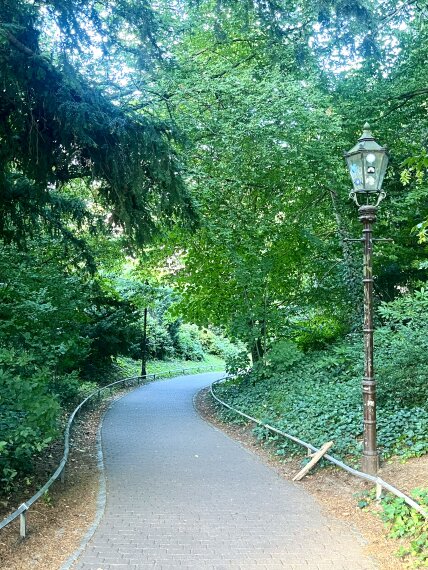 Kirschbaum Allee
